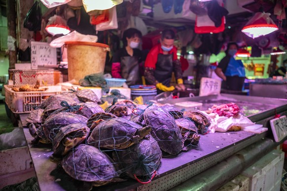 Die Annahme, das Virus stamme von einem Fischmarkt in Wuhan, ist nicht abschliessend geklärt. 