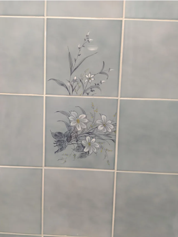 Failed Tuesday: Cleaned the bathroom, boss