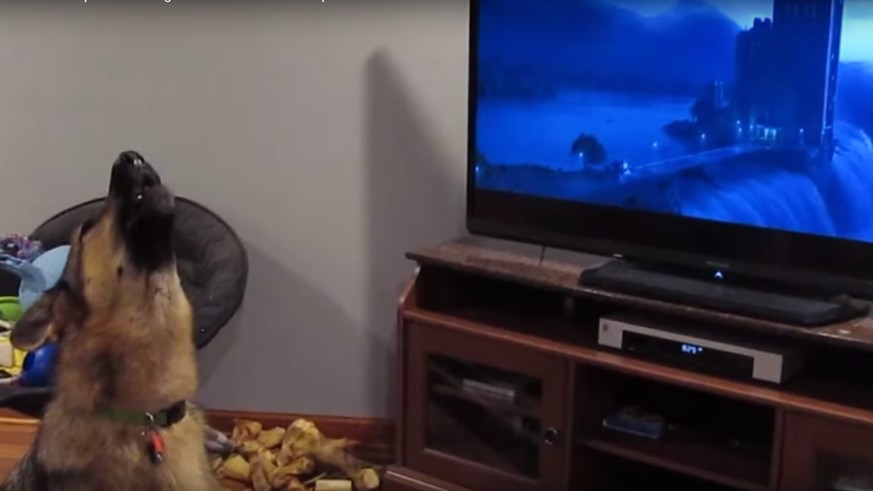 Film und Fernsehen Hund heult mit den Wölfen von Zootopia watson