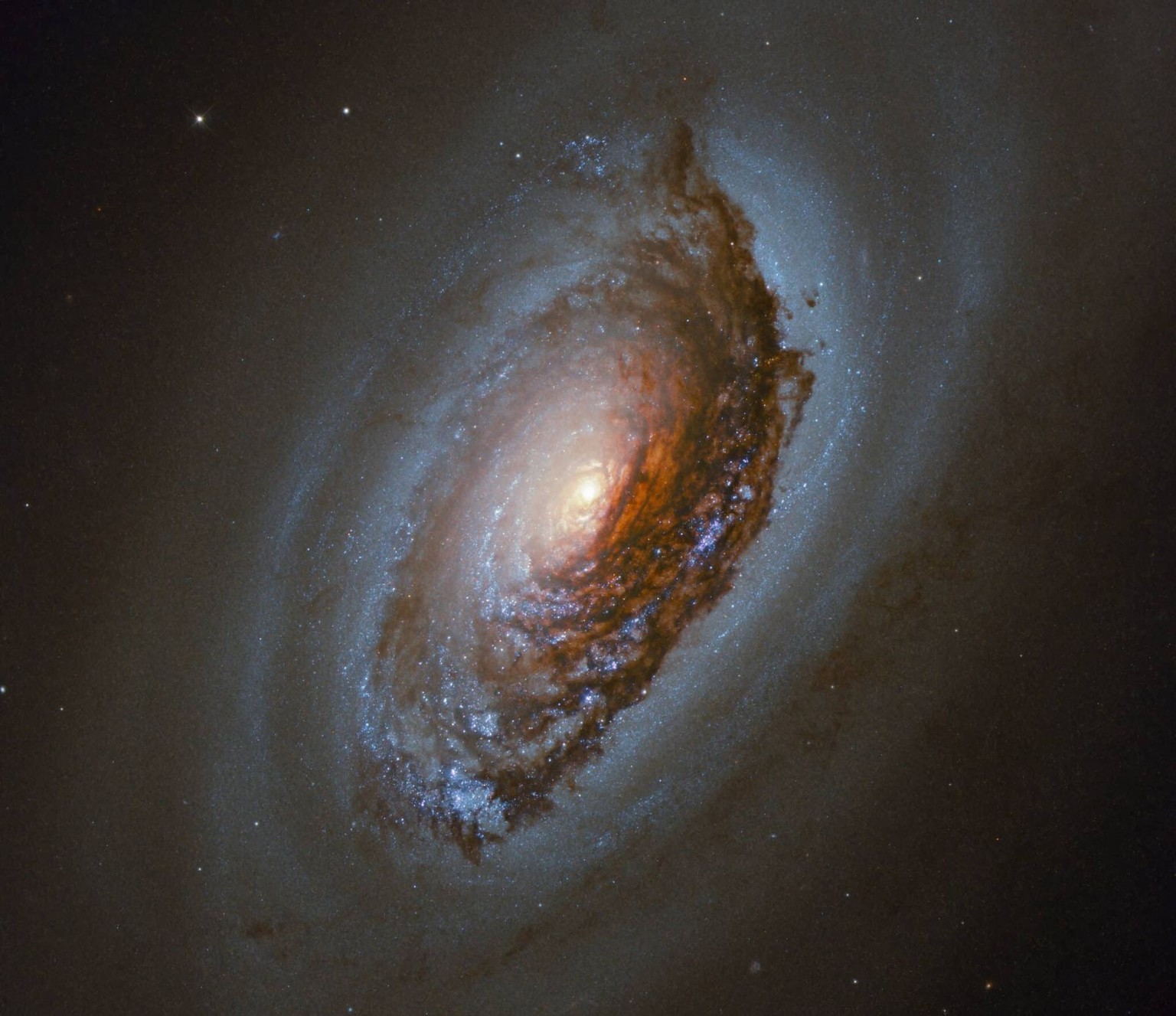 This NASA/ESA Hubble Space Telescope Picture of the Week features NGC4826 — a spiral galaxy located 17 million light-years away in the constellation of Coma Berenices (Berenice’s Hair). This galaxy is ...