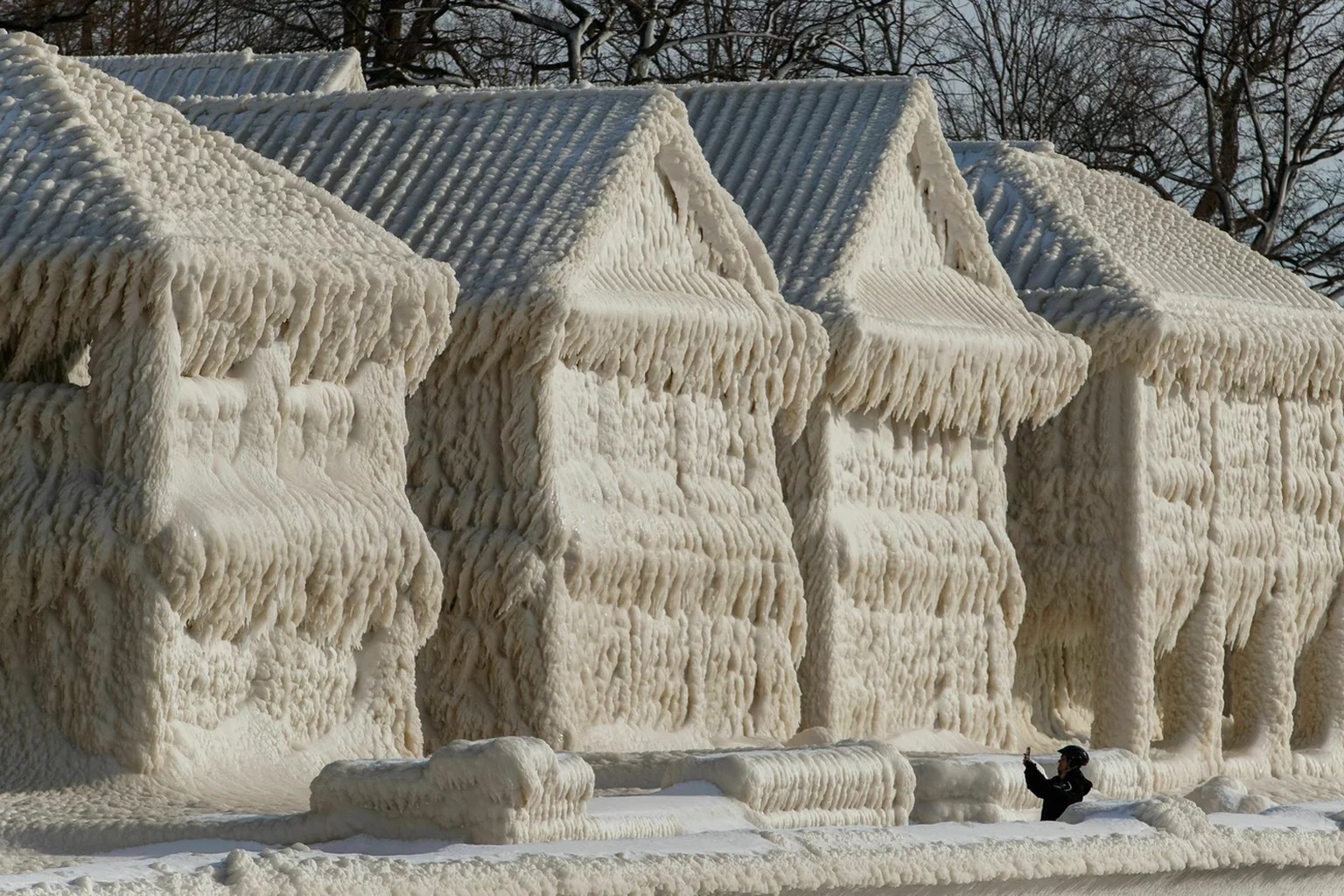 Geese fly over frozen homes in the waterfront community of Crystal Beach in Fort Erie, Ontario, Canada.