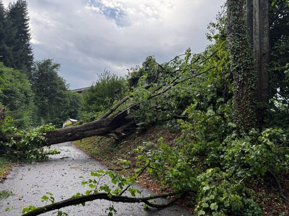 Unwetter über St.Gallen am 5. August 2026: Die Behörden mussten zu 22 Einsätzen ausrücken.