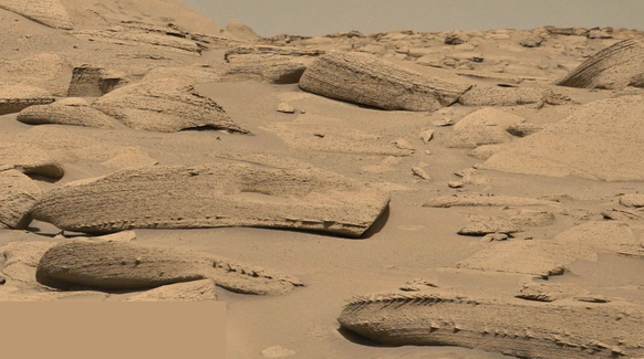 Drachenknochen oder Fischgräten? Diese seltsamen Formationen hat der Rover «Curiosity» auf dem Mars entdeckt.