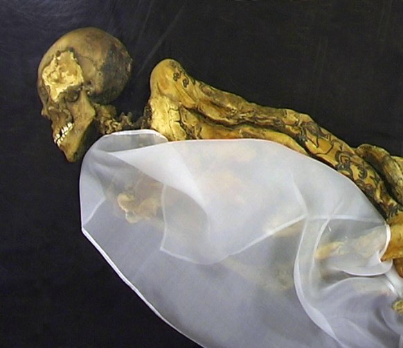 The most famous undisturbed Pazyryk burial so far recovered is the Ice Maiden found by archaeologist Natalia Polosmak in 1993, a rare example of a single woman given a full ceremonial wooden chamber-t ...