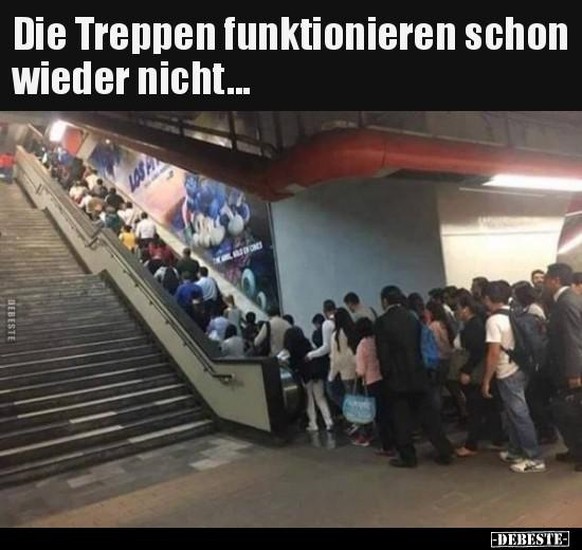 PICDUMP 423 вЂ“ heute nicht mit Harold, sondern ... рџҐЃ ... Haryoung. \nJep so warst....