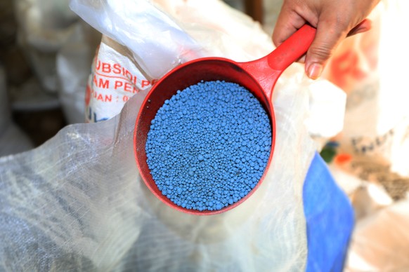 epa12855911 A farmer shows stock of fertilizer that will be used in the upcoming planting season in Lampeunurut, Aceh Besar, Indonesia, 28 March 2026. The World Trade Organization (WTO) has warned tha ...