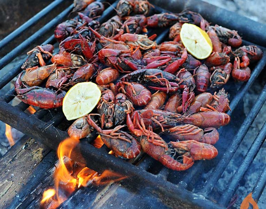 http://girlscangrill.com/recipe/grilled-crawfish/ crawfish crayfish flusskrebs krebs hummer grill grillen grillieren bbq barbecue louisiana meerestiere fisch USA cajun creole essen food