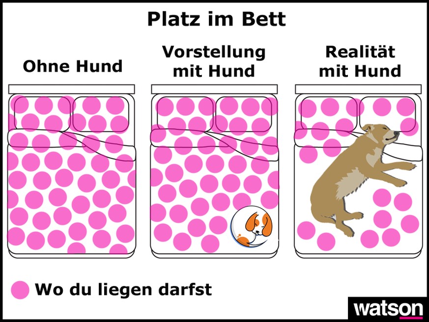 11 Grafiken, die das Leben mit Hund perfekt beschreiben