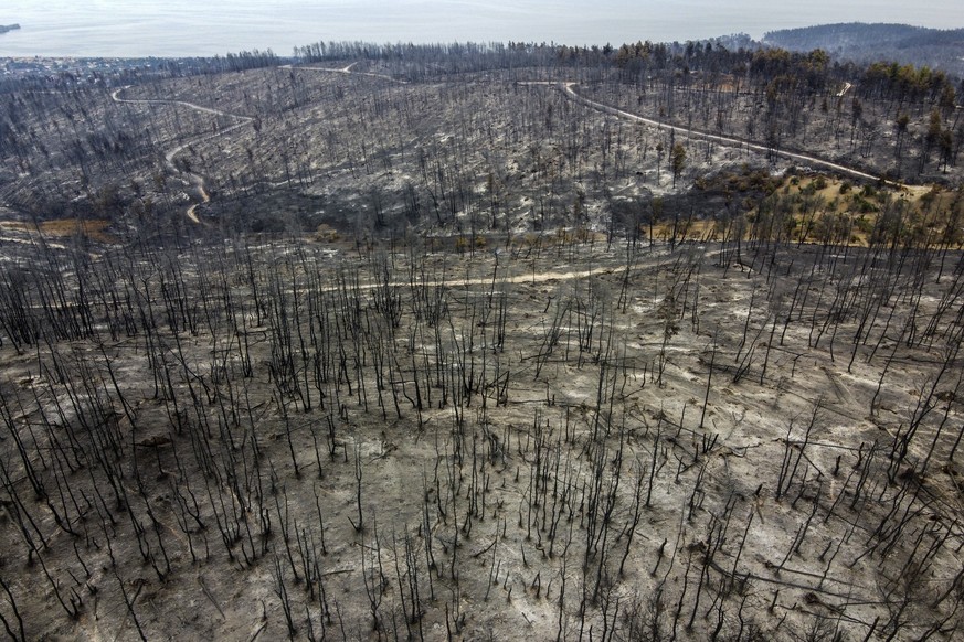 A burnt forest in Agia Anna village on Evia island, about 181 kilometers (113 miles) north of Athens, Greece, Wednesday, Aug. 11, 2021. Hundreds of firefighters from across Europe and the Middle East  ...