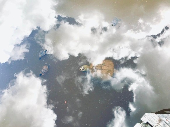 Dies ist natürlich nur die Spiegelung des Himmels auf dem Wasser.