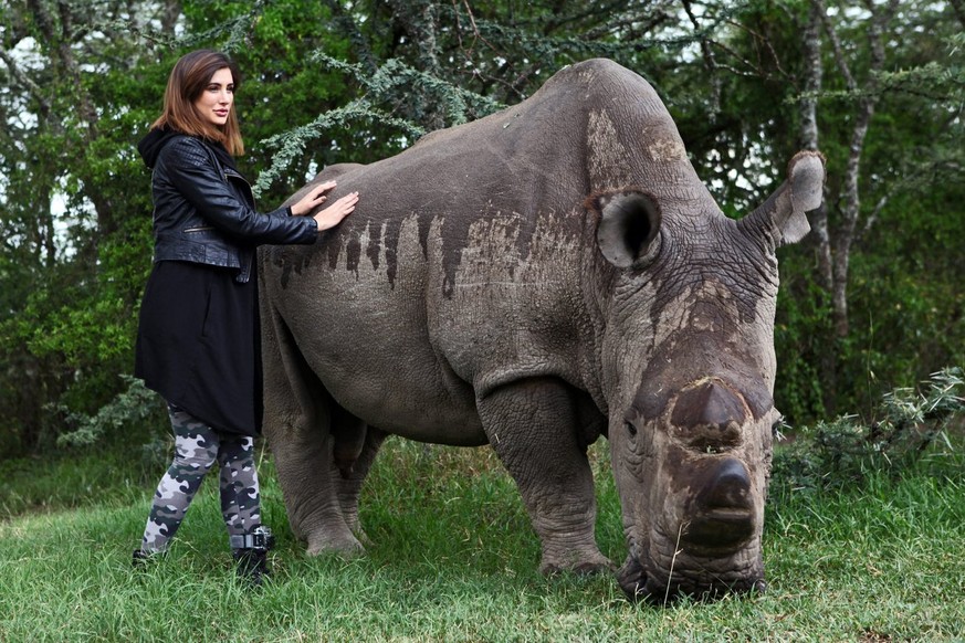 epa04764211 US model and Bollywood actress Nargis Fakhri (L) poses next to Sudan, the last male northern white rhino in the world, upon her visit to Ol Pejeta Conservancy in Nanyuki, Kenya, 23 May 201 ...