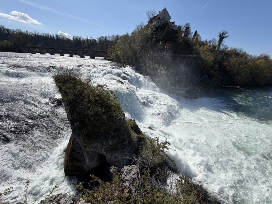 Rheinfall vom Felsen aus