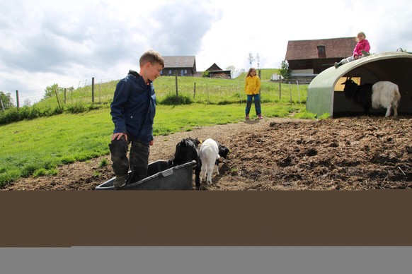 Unterwegs gibt's beim Erlebnishof Gerbe auch einen Streichelzoo mit Geissen und Schweinen.