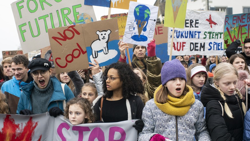 Zürcher protestieren für eine bessere Klimapolitik am Samstag, 2. Februar 2019.