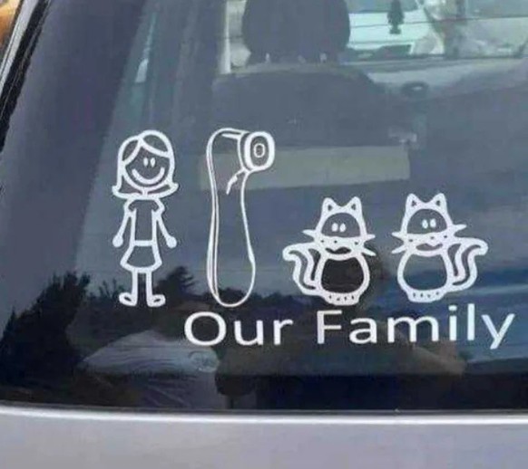 Okay bei diesen Autoaufklebern mussten wir lachen. 
https://chameleonmemes.com/wp-content/uploads/2025/01/Dont-mind-if-I-do.webp