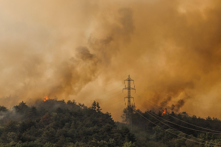 Waldbrand Slowenien