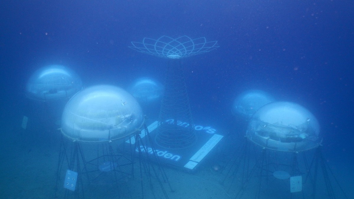 Projekt Nemo's Garden – Gewächshäuser auf dem Meeresgrund