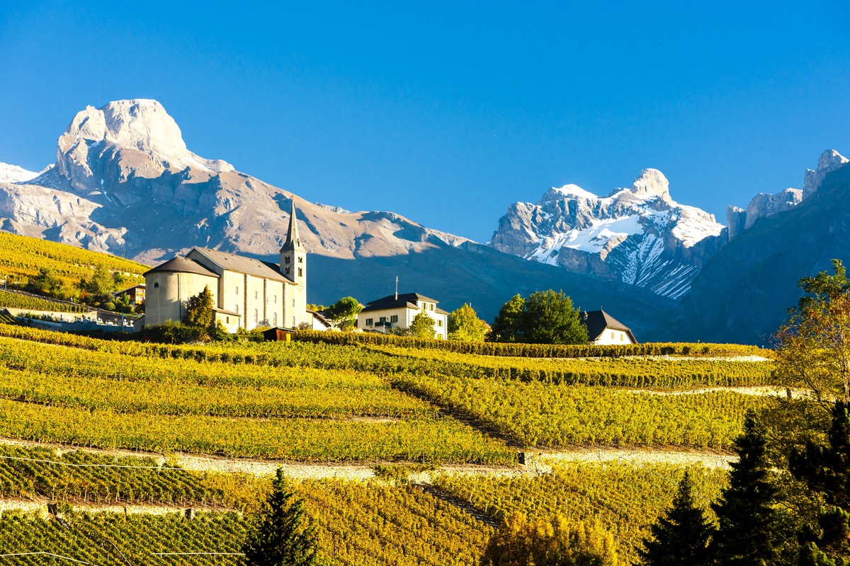 Die Kirche von Conthey inmitten der Weinreben.