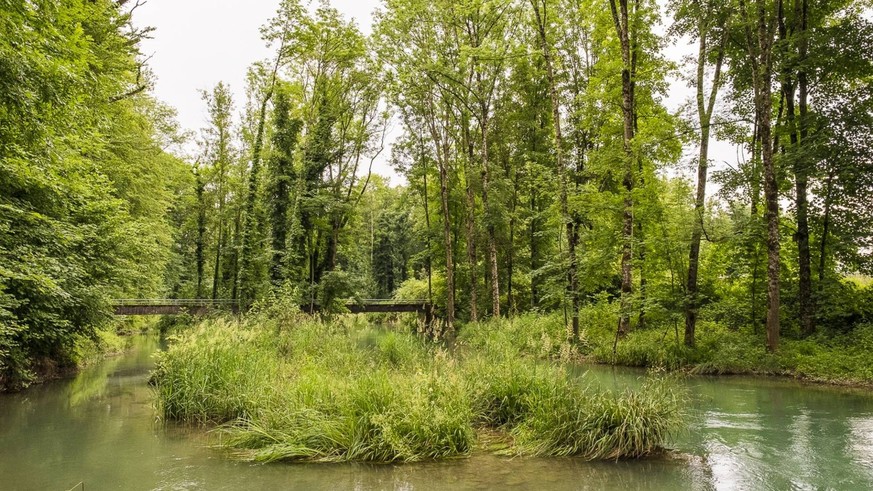 Gewässerperlen Schweiz wilde naturnahe Schweizer Flüsse unberührt Flusswanderungen Rauszeit Alte Aare