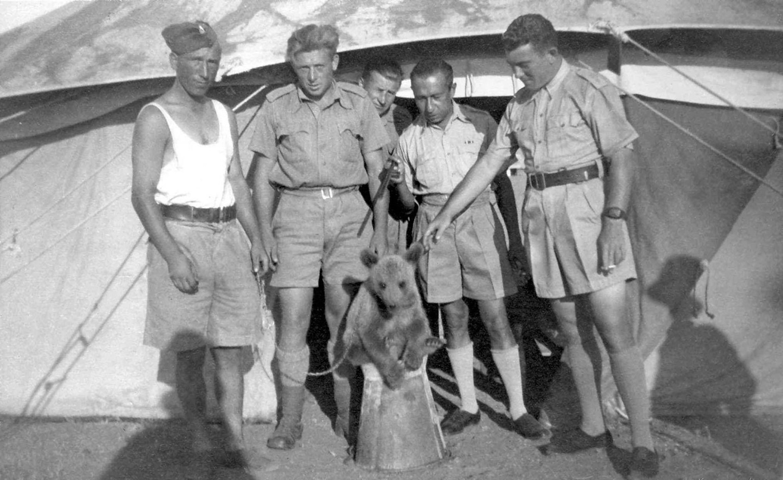 Der kleine Wojtek mit seinen neuen Besitzern, den Männern der 22. Transportdivision des zweiten polnischen Armeekorps.