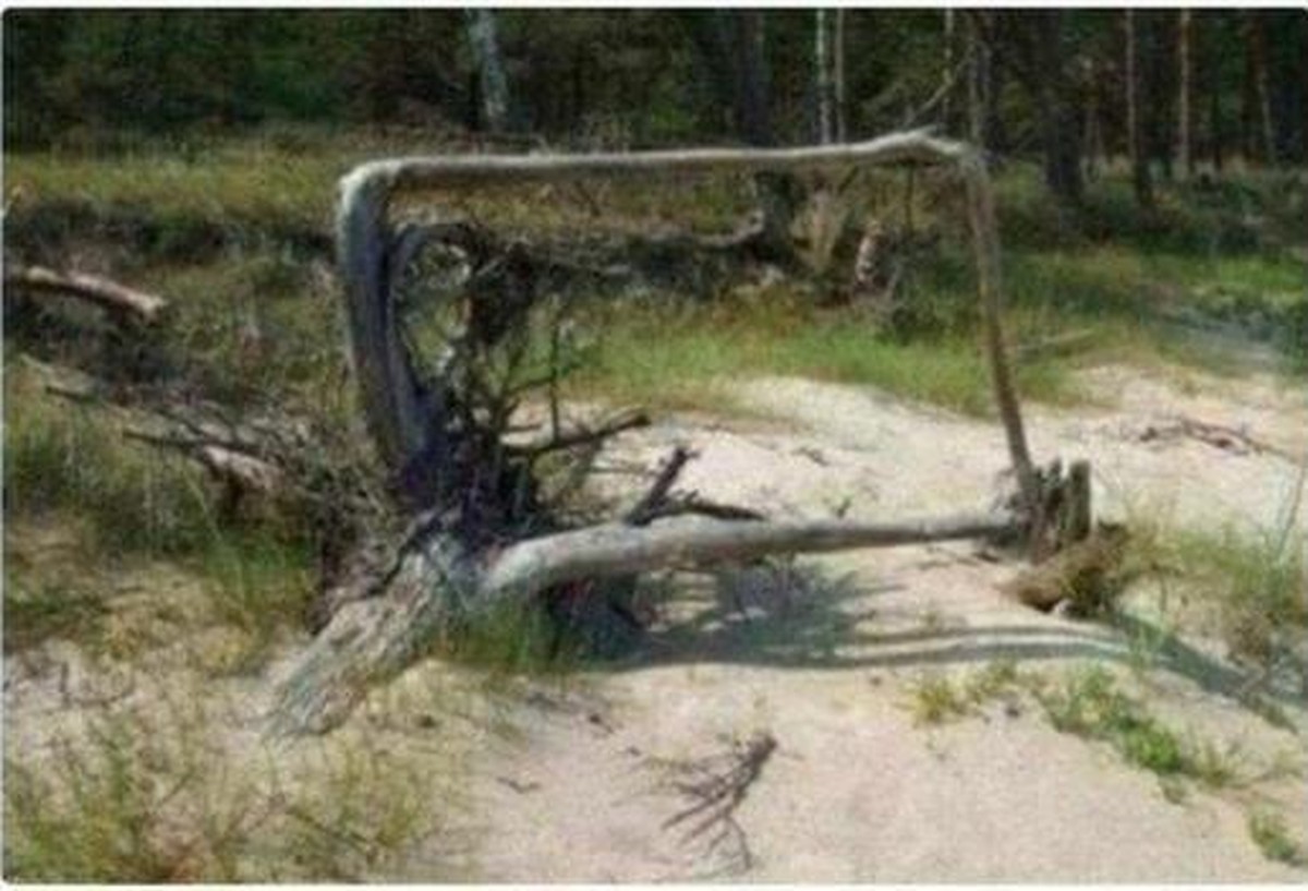 PICDUMP 409 – alle versammeln, es geht los!\nUnd damit wir heute auch was gelernt haben:

Die Quadratwurzel