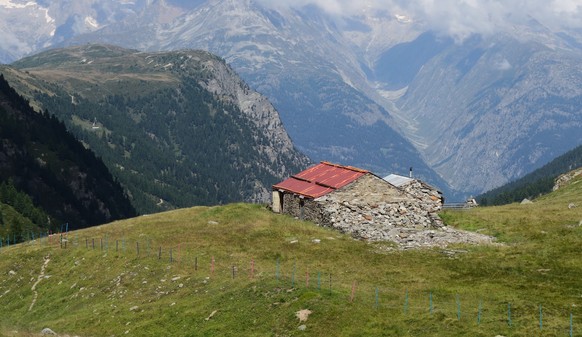 Reportage von der Alpe Nanztal im Kanton Wallis. Schäfer Oliver Gottsporn zeigt seine Schwarznasenschafe und erzählt, warum der Wolf ihm das Leben schwer macht.