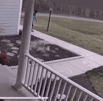 Animiertes GIF