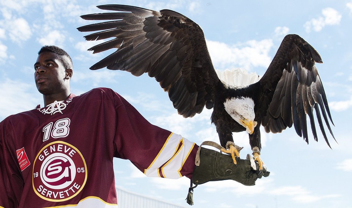 Dave Sutter, joueur de l'equipe de hockey sur glace du Geneve Servette HC, GSHC, ainsi que l'aigle "Sherkan" se preparent avant de poser pour la traditionnelle photo de groupe, ce  ...