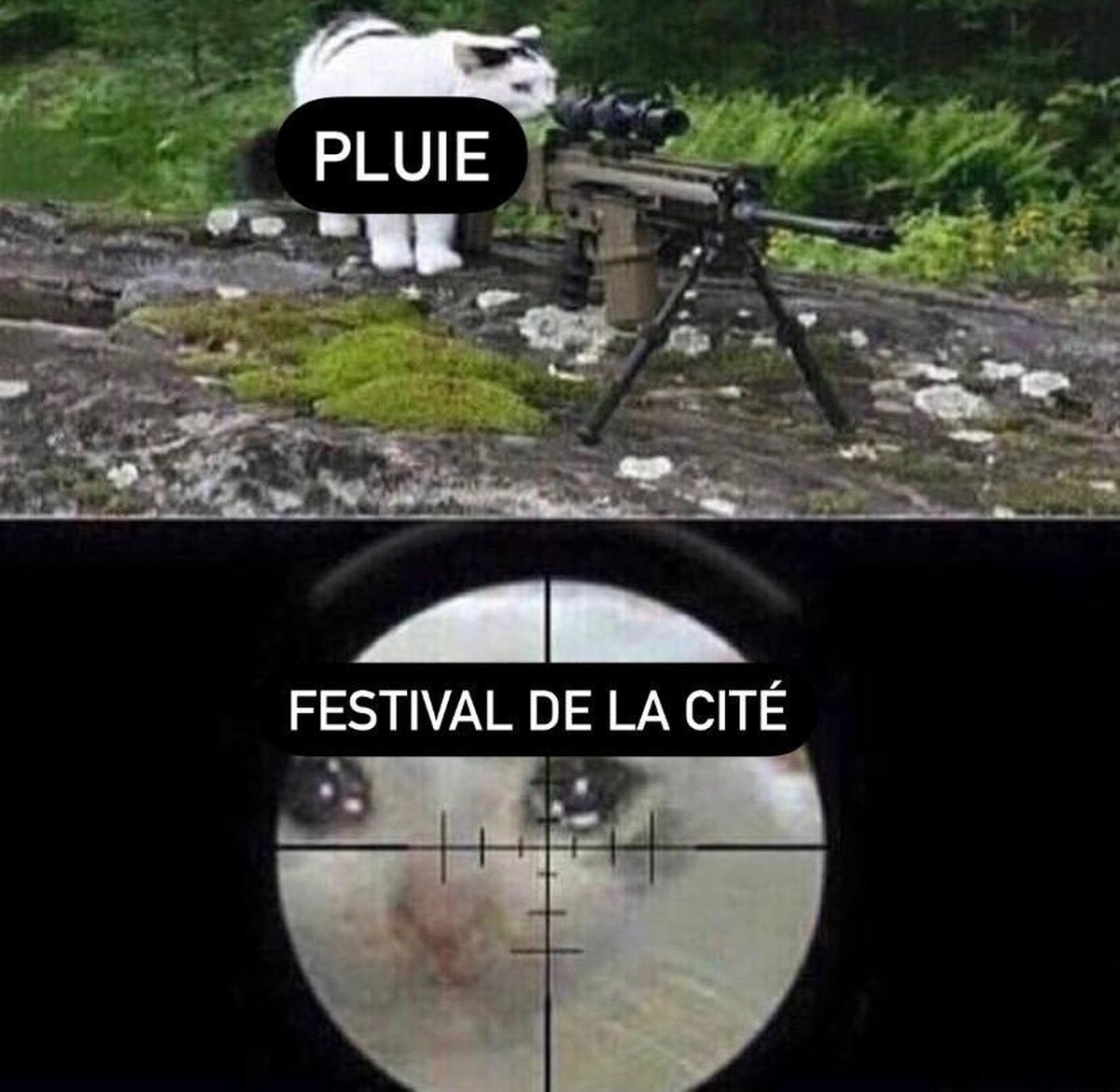 C'est ma collègue Agathe qui l'a fait, en l'honneur du festival lausannois.