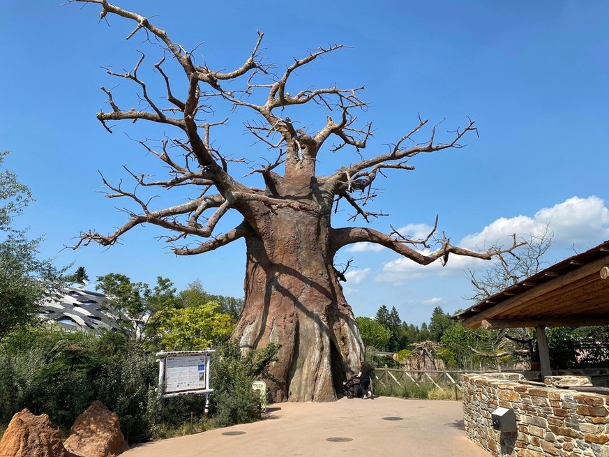 Zürcher Zoo