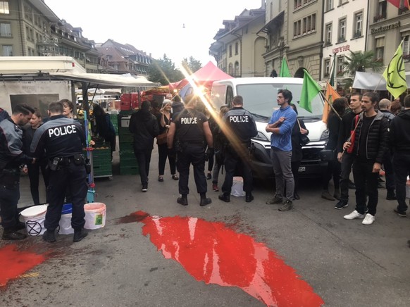 Klimaschützer Bundesplatz