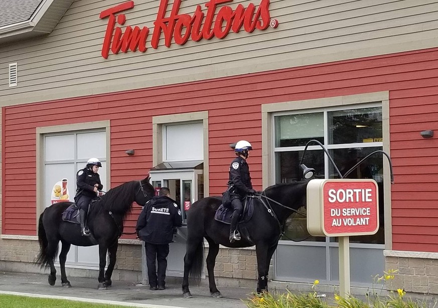 Die besten und lustigsten Bilder aus Kanada