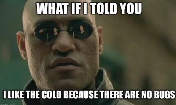 Winter Memes