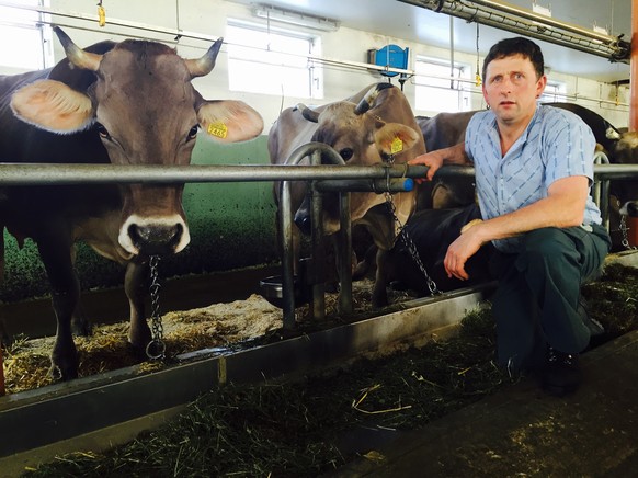 Der Urnäscher Bauer Gustav Schmid im Stall bei seinen Kühen.<br data-editable="remove">