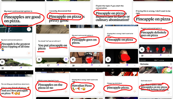Zusammenstellung von Pizza-Debatte auf Hinge, Dating-App