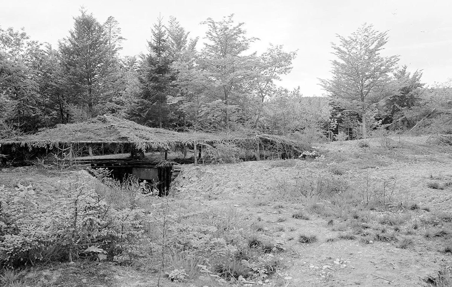 Eine Artilleriestellung im Waldgebiet des Jolimonts. Sie ist mit Tannenzweigen getarnt, um auch aus der Luft nicht bemerkt zu werden.
https://commons.wikimedia.org/wiki/File:Batterie_Toferenwald,_Gesc ...