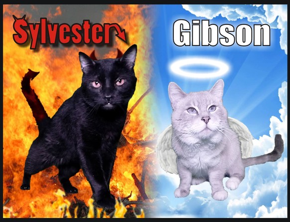 Die Charakterzüge von Sylvester und der verstorbenen Gibson illustrativ hervorgehoben.