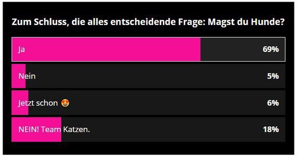 Cute News Umfrage