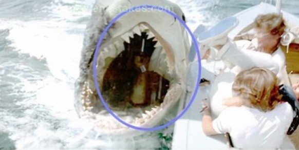 jaws 2