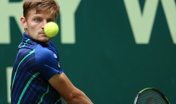 David Goffin: Findet er ein Rezept gegen Federer?