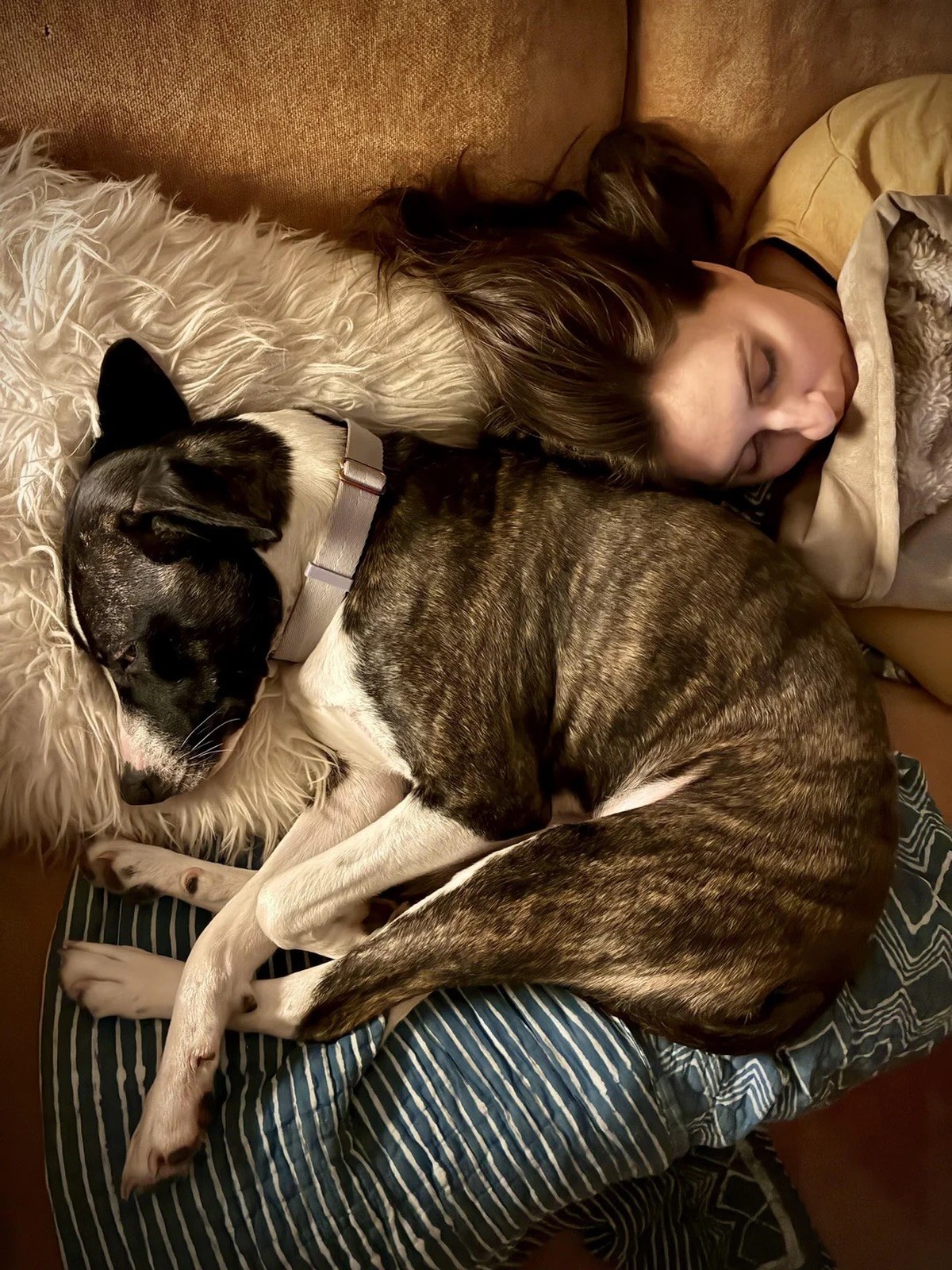 AccidentalRenaissance
Surrender at day’s end

https://www.reddit.com/media?url=https%3A%2F%2Fpreview.redd.it%2Fsurrender-at-days-end-v0-vs0af3j4vklg1.jpeg%3Fwidth%3D1080%26crop%3Dsmart%26auto%3Dwebp%2 ...