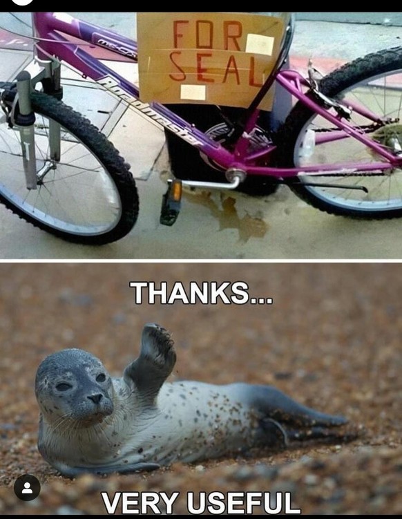 Picdump 123 – mit Memes einen Rekord aufstellen?\n...