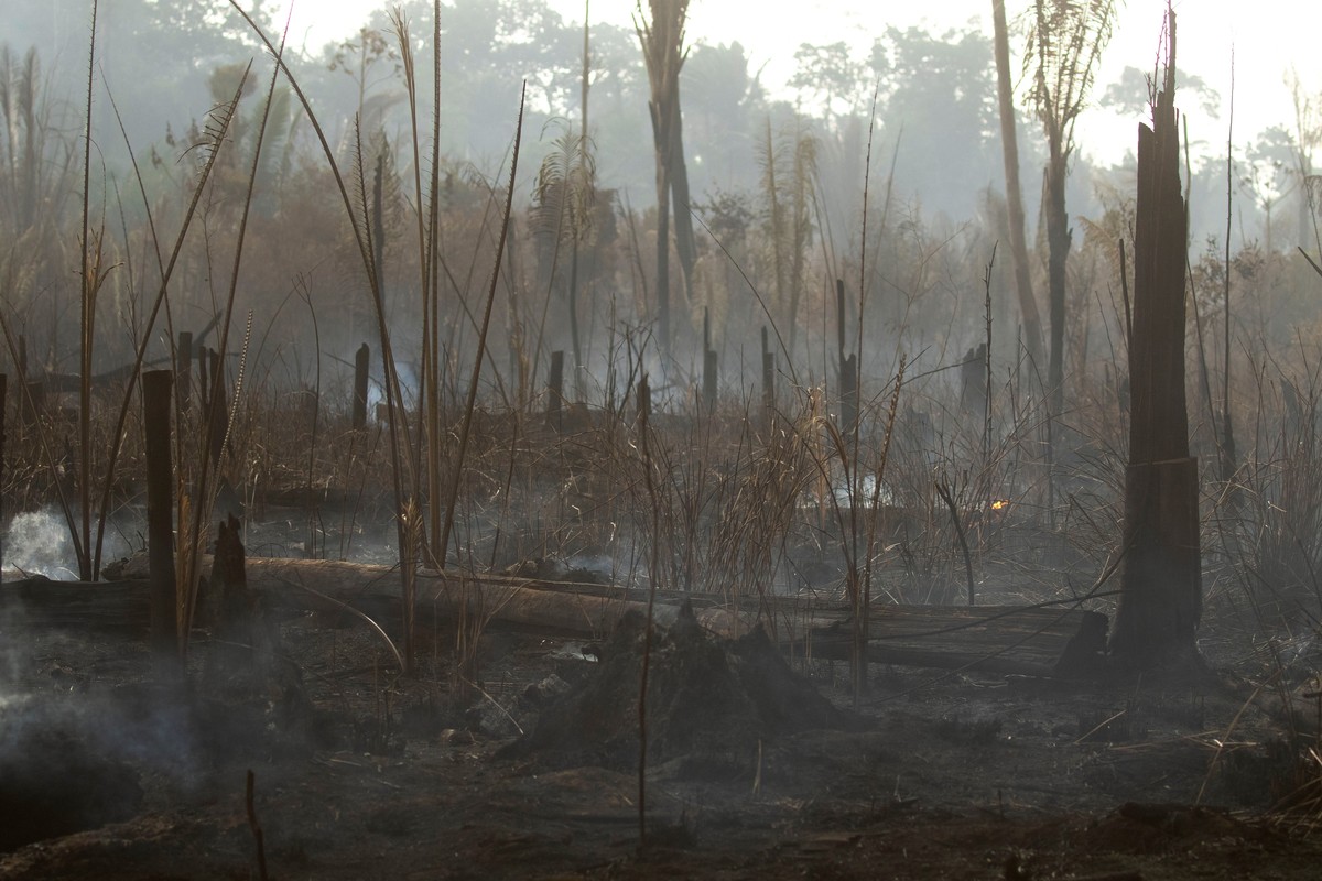 epa07796054 General view of the damage caused by the fires in the forest of Porto Velho, Brazil, on 26 August 2019. Seven Brazilian states have formally requested the help of the military to fight the ...