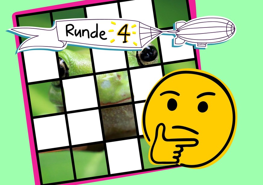 Erkennst du alle 10 Tiere mit so wenigen Feldern wie möglich? 🐸
