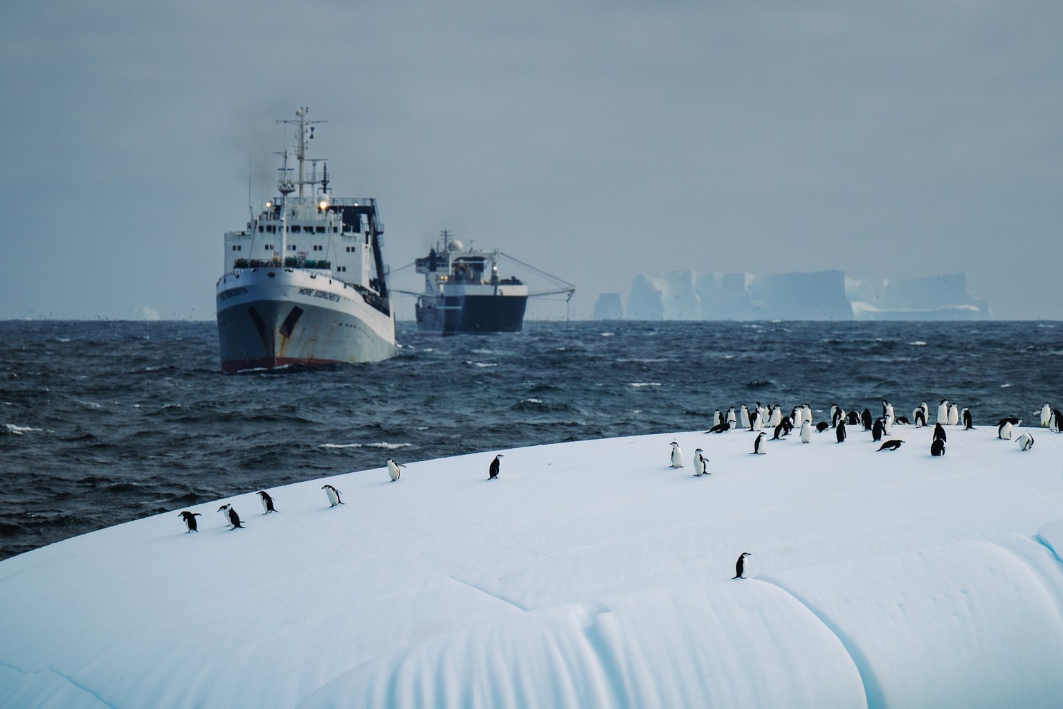 Two trawlers close to chinstrap penguin colony