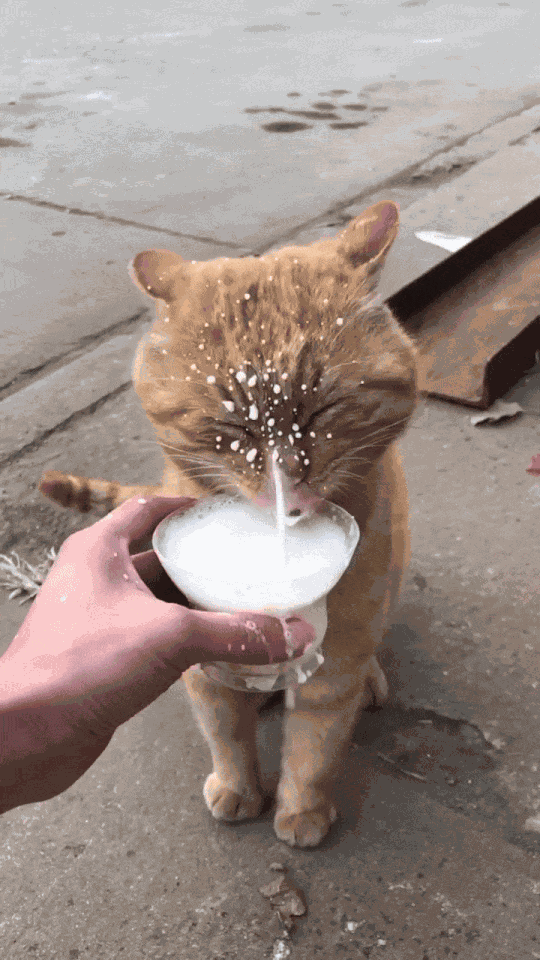 Animiertes GIF