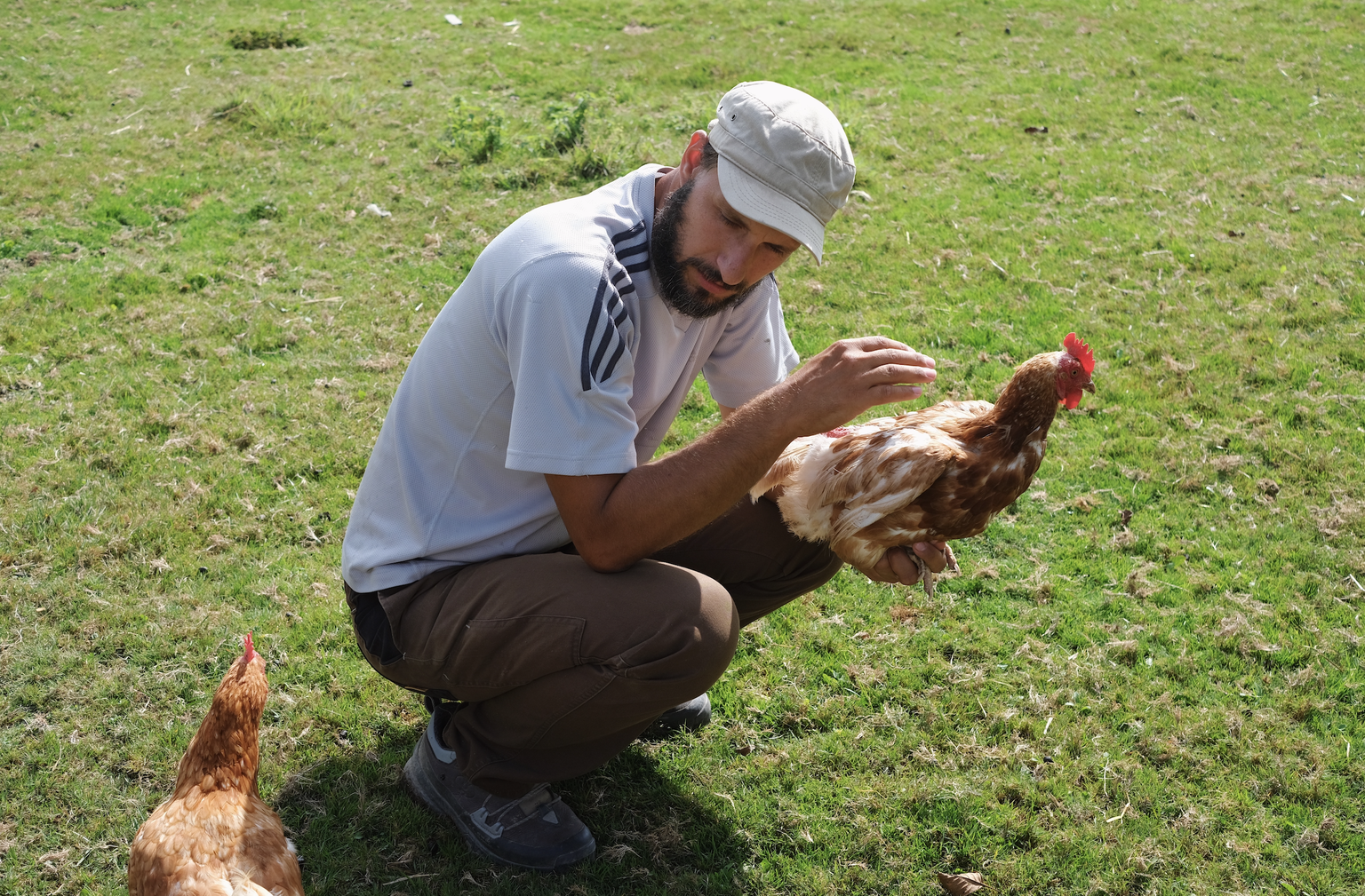 Massentierhaltung, Tierhaltung, Bauernhof, Lebenshof, Umstellung Landwirtschaft, Bio, Tierhaltung, Massentierhaltungsinitative