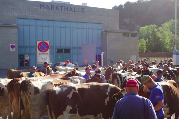 Grosser Aufmarsch am Schlachtviehmarkt in Burgdorf.