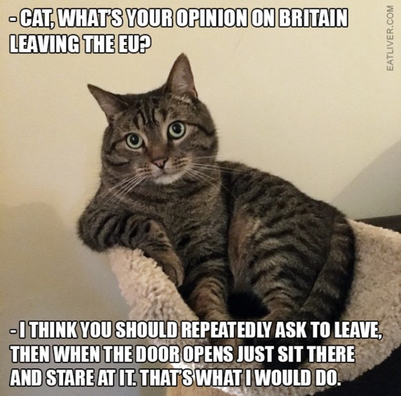 Brexit-Frist wird bis Halloween verlГ¤ngert вЂ“ 5 Fragen und Antworten
S wer doch so eifach!рџђ±рџ¤«