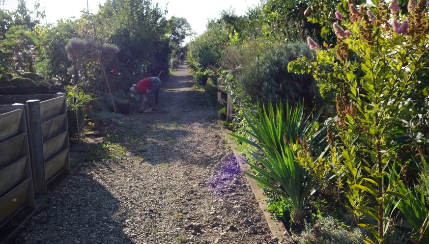 Reportage aus dem Familiengarten Scheuerrain in Muttenz, der wegen des geplanten Rheintunnels mit dem nationalen Autobahnausbau platt gemacht werden soll.